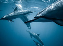 华体会HTH：让热爱体育照进生活的一站式体验